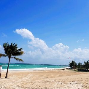 Meet your Posher, Bernie